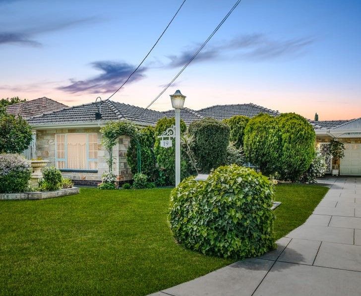 19 Durham Ave, Lockleys, SA 5032