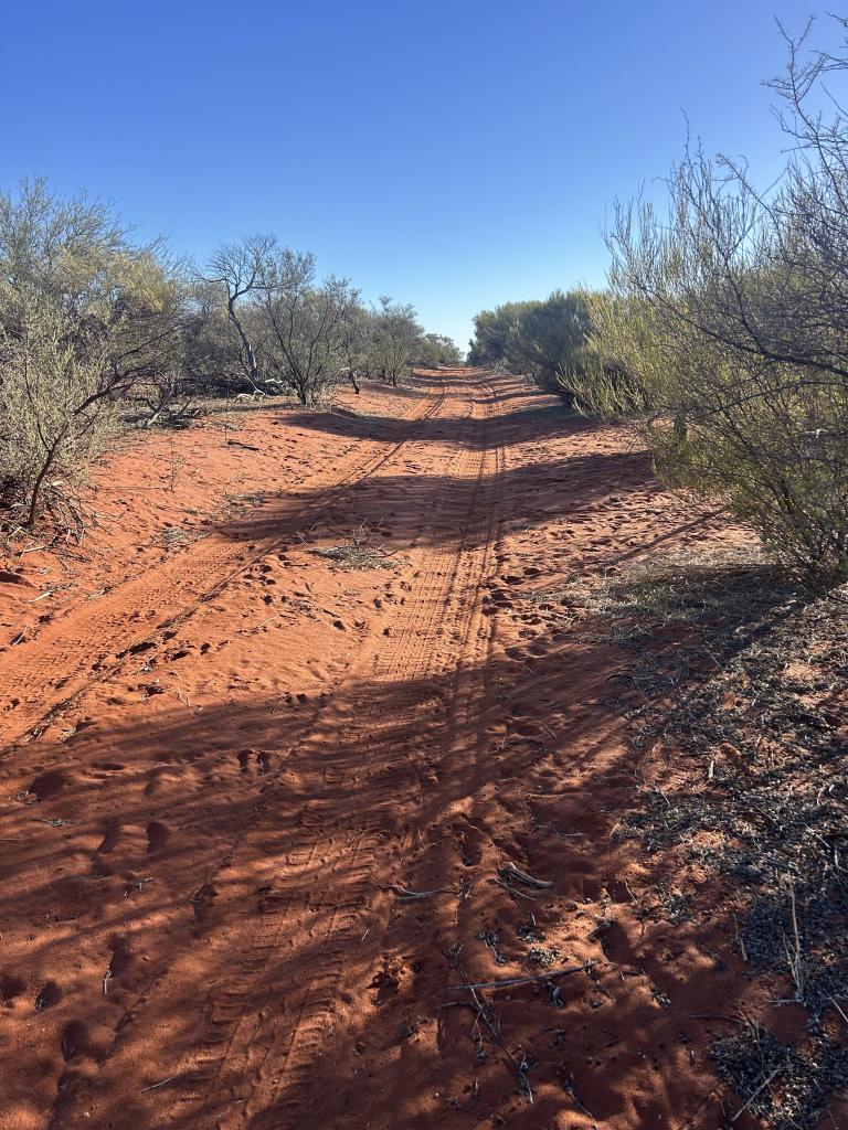 YARINGA STATION, NORTH WEST COASTAL HWY, BROWN RANGE, WA 6701