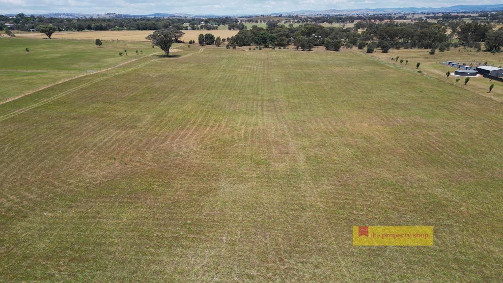 215 Black Lead Lane, Gulgong, NSW 2852