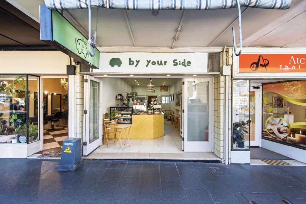 245 GLEBE POINT RD, GLEBE, NSW 2037