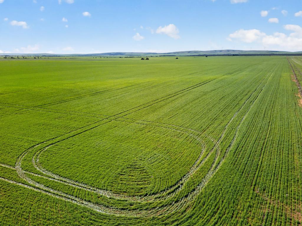 'Clifford Farm' Spencer Hwy, Clements Gap, SA 5523