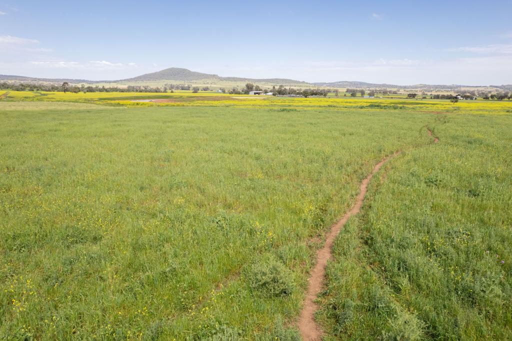 175 BARLOW RD, GUNNEDAH, NSW 2380