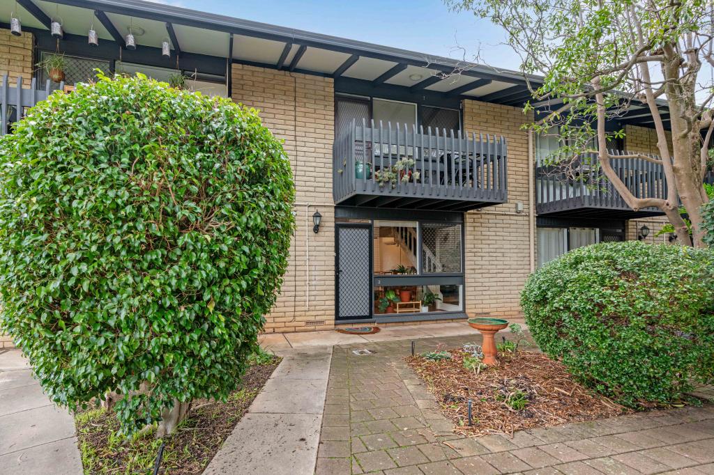 2/269 Belair Rd, Torrens Park, SA 5062