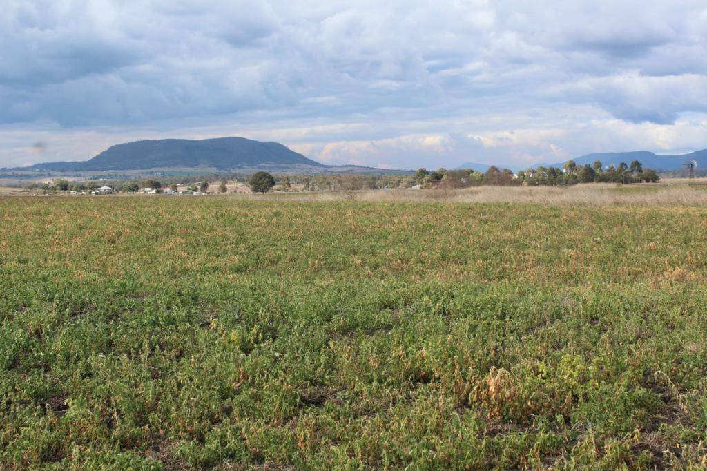 3 Briggs Rd, Swan Creek, QLD 4370