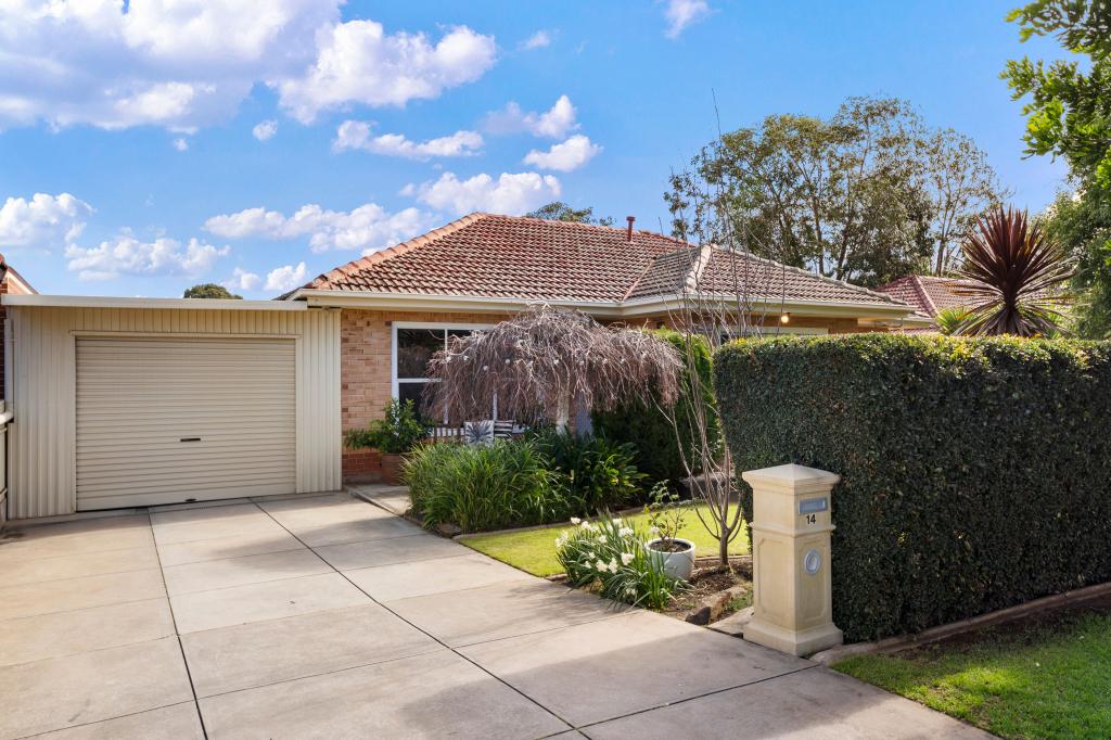 14 Primrose Ave, Paradise, SA 5075