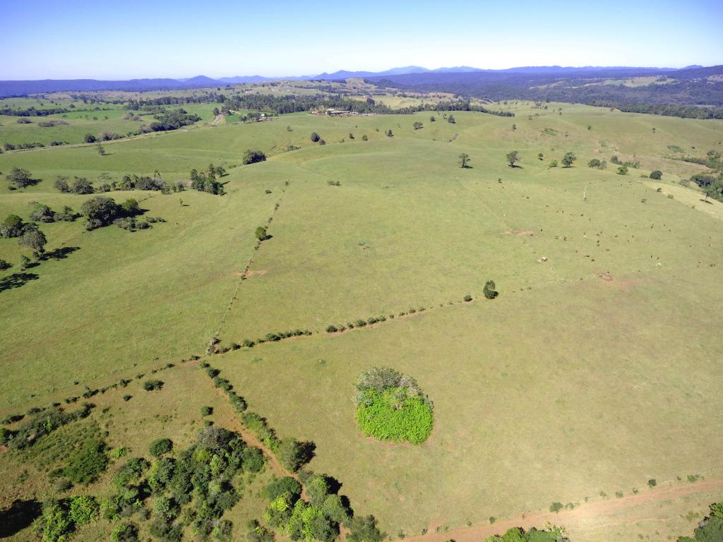 Contact Agent For Address, Millaa Millaa, QLD 4886