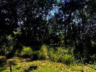 41 Beelong St, Macleay Island, QLD 4184