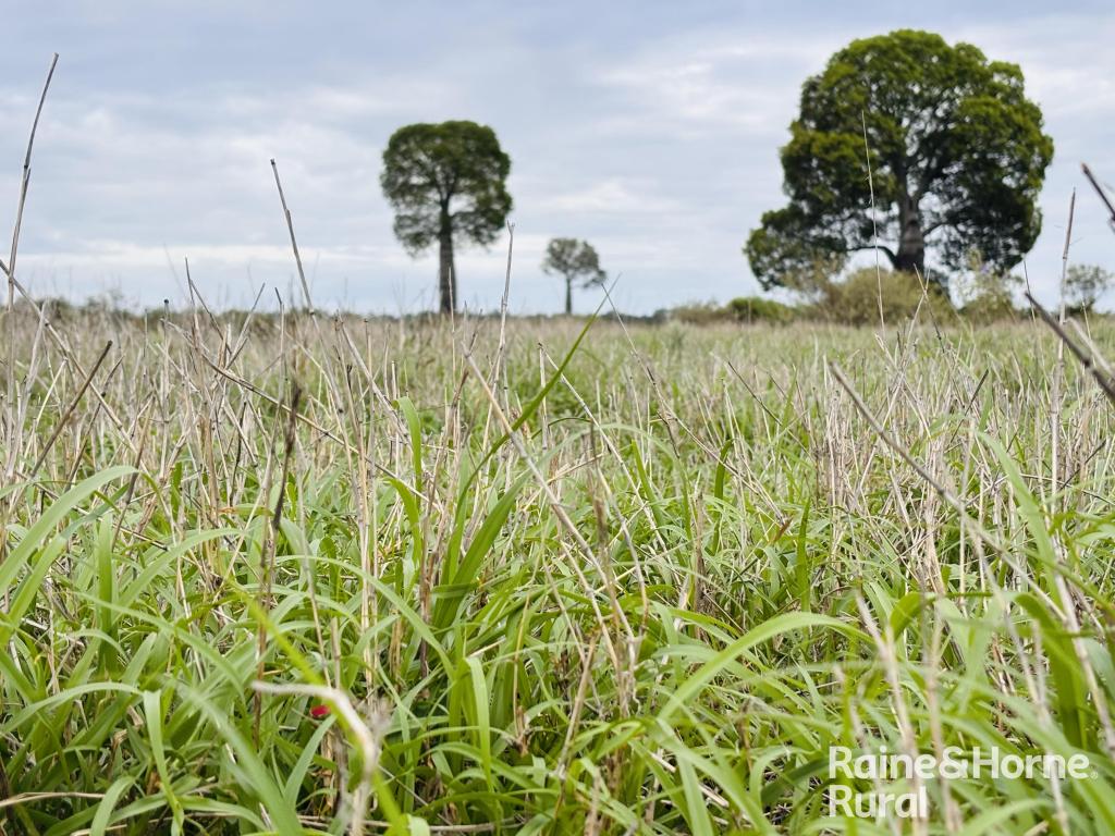 1148 Nalpa Downs Rd, Womalilla, QLD 4465