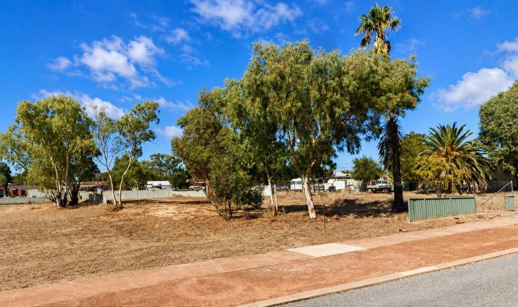 18 Shenton St, Mingenew, WA 6522