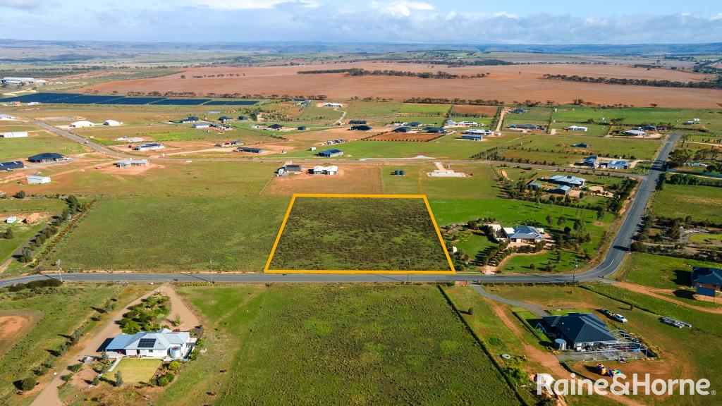 21 Barley Dr, Mannum, SA 5238