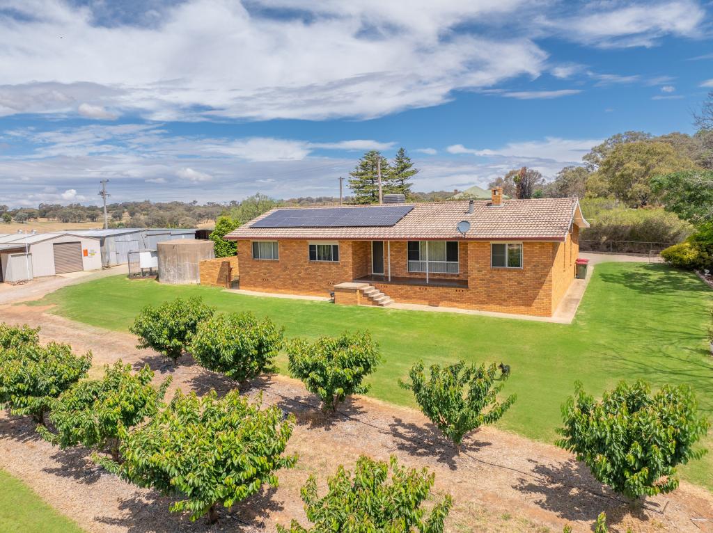 1146 Kingsvale Rd, Young, NSW 2594