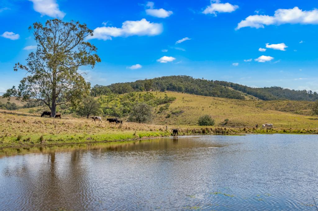 449 Glen William Rd, Glen William, NSW 2321