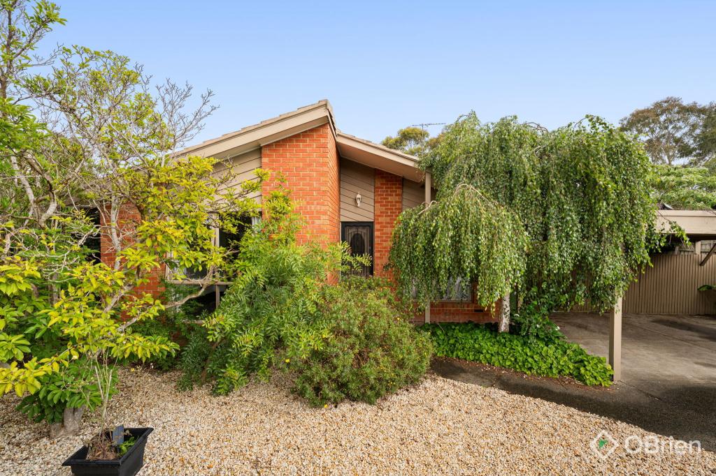 56 WILLSLIE CRES, BERWICK, VIC 3806