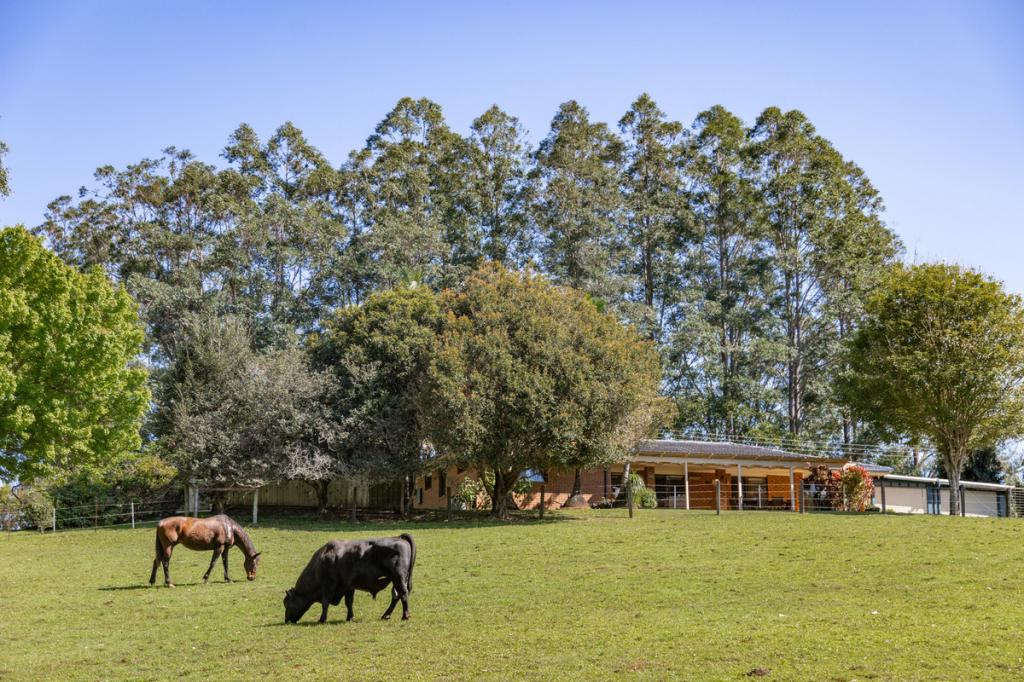 51 Kennedys Lane, Ewingsdale, NSW 2481