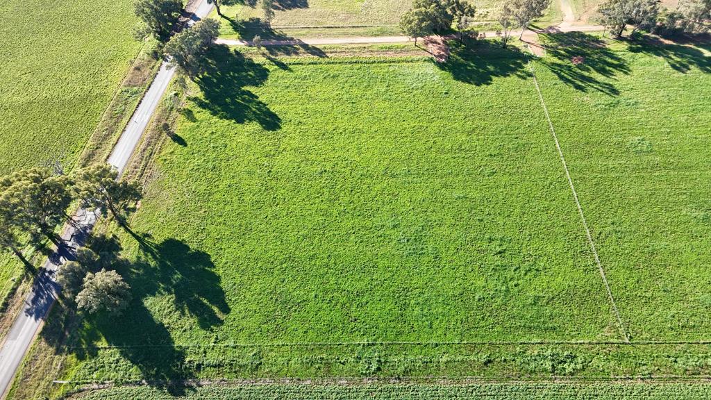 Lot 109/12 Halls Lane, Grenfell, NSW 2810