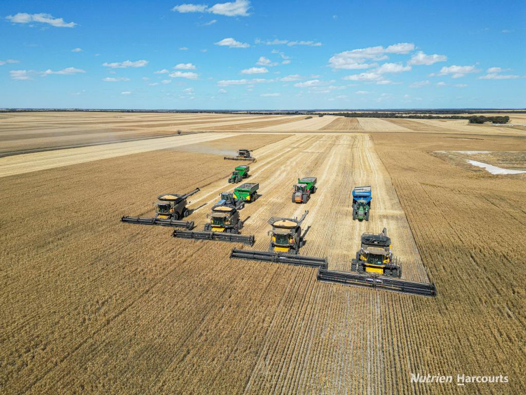 . "Wimburra Aggregation", Gnowangerup, WA 6335