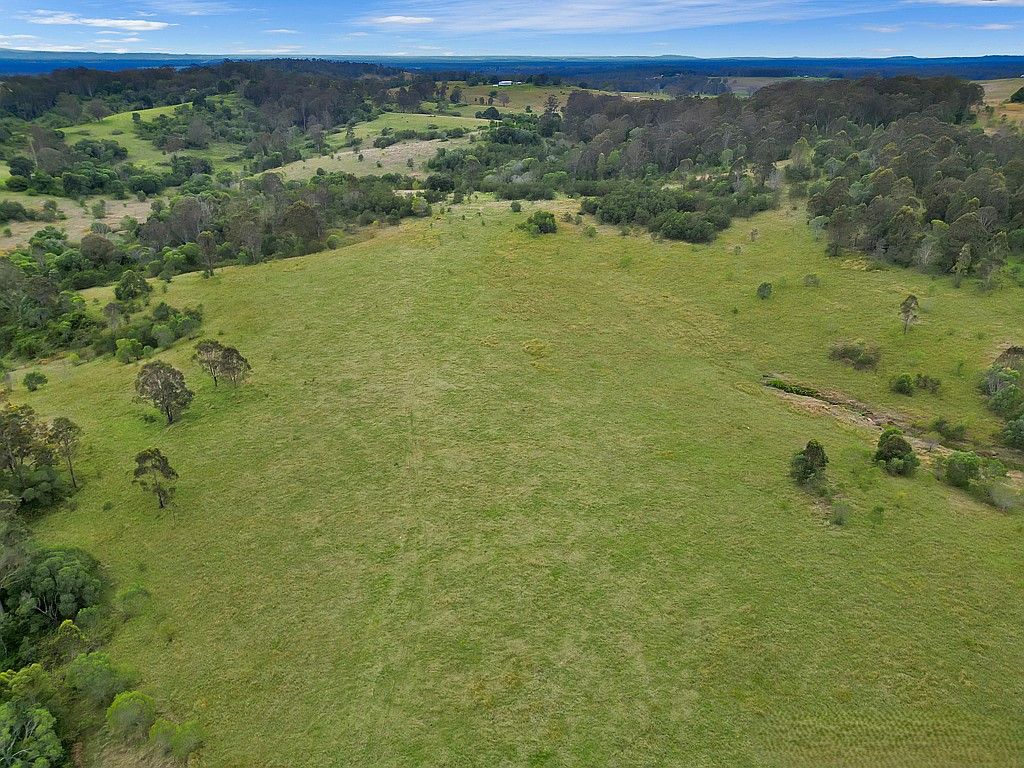 465 Ellangowan Myrtle Creek Rd, Ellangowan, NSW 2470