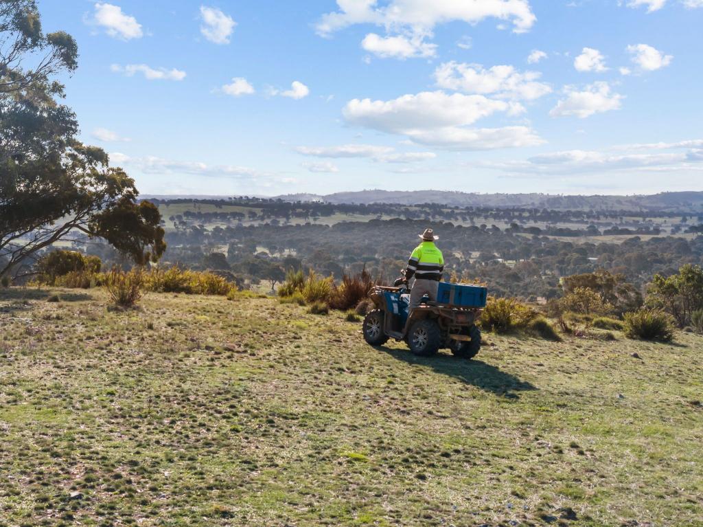 "Sheldricks Range" Sheldricks Lane, Jerrawa, NSW 2582