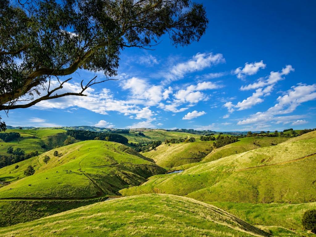 86 Mcnaughtons Rd, Wild Dog Valley, VIC 3953