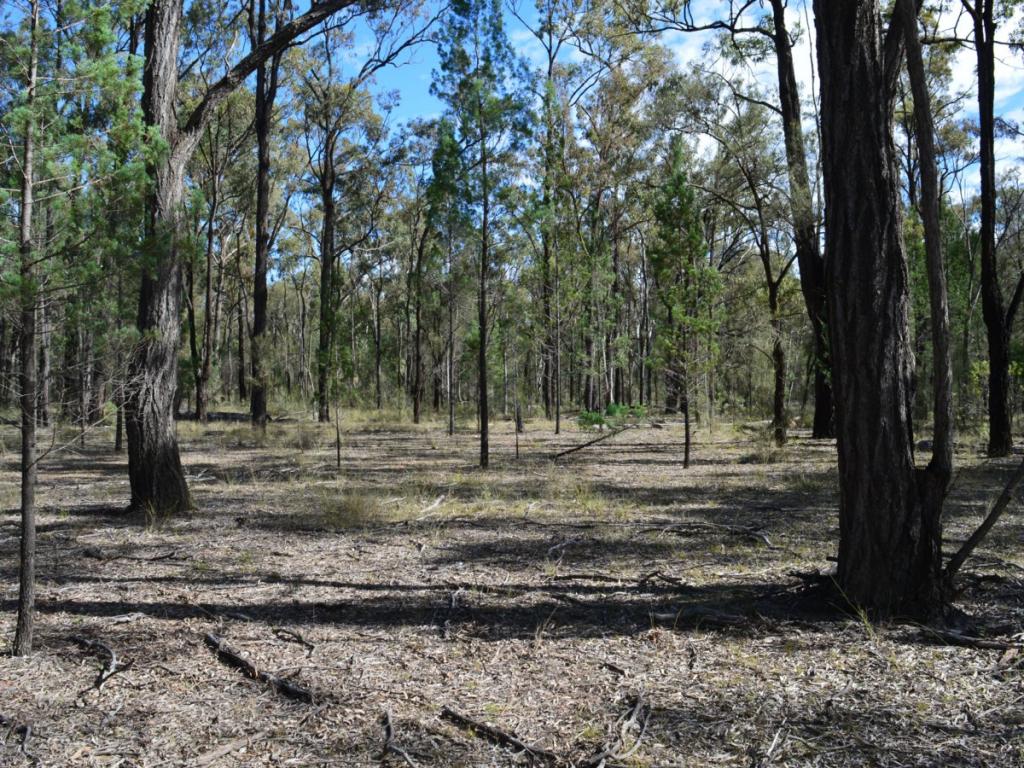 LOT 17 THE HUT RD, INGLEWOOD, QLD 4387