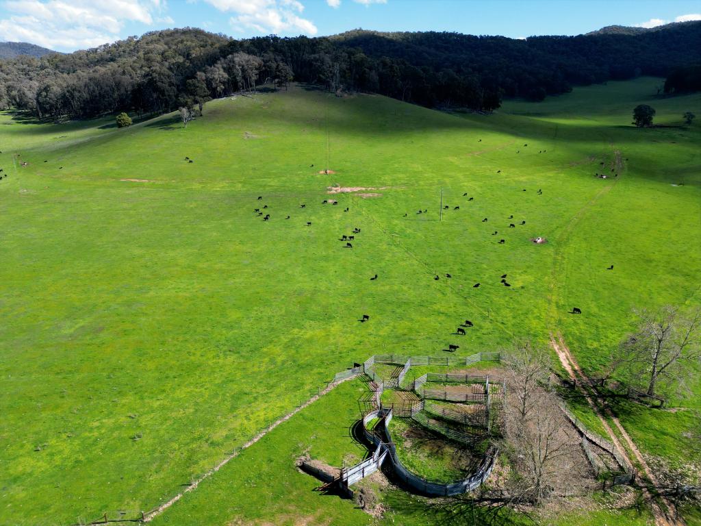 'Eastmore' 1177 Callaghan Creek Rd, Mitta Mitta, VIC 3701