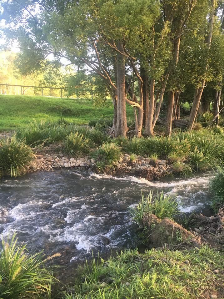 160 Upper Crystal Creek Rd, Upper Crystal Creek, NSW 2484