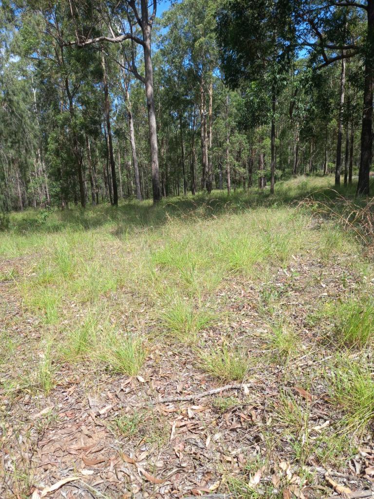 Lot 1, 23 Anita Rd, Blackbutt North, QLD 4314