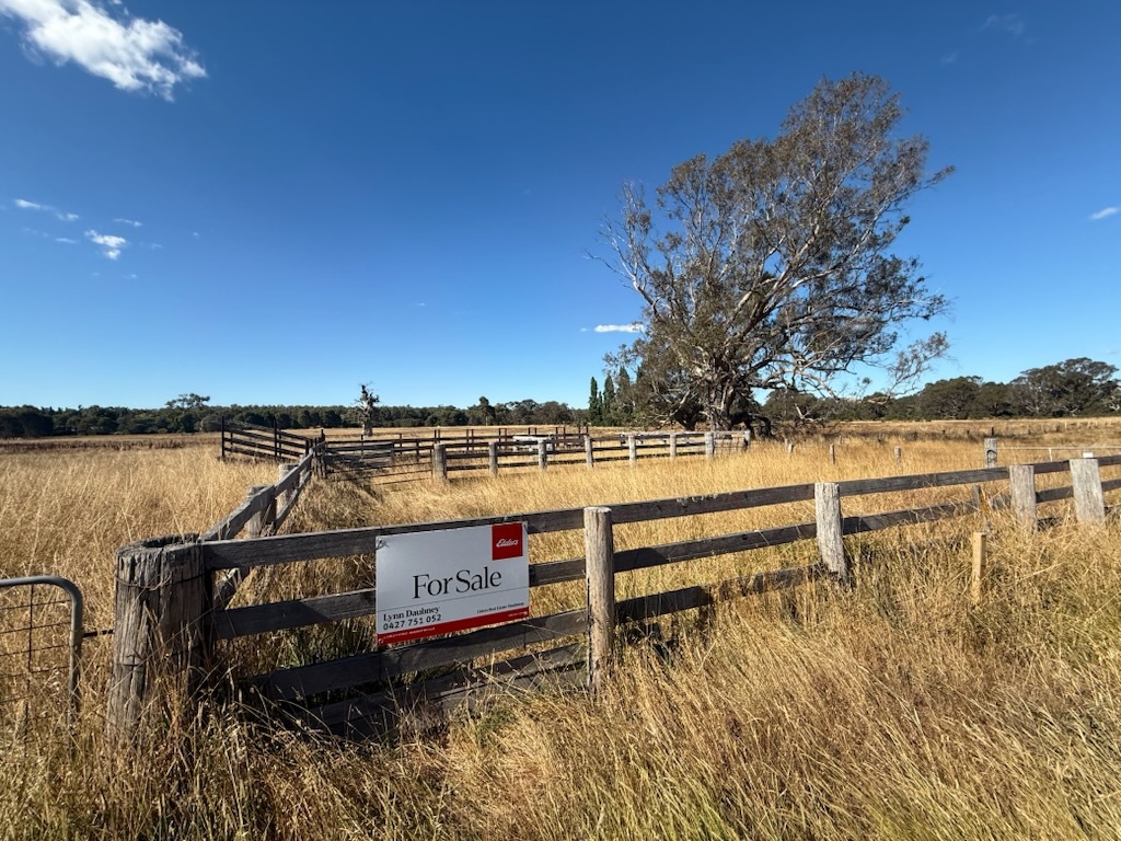 Contact Agent For Address, Manjimup, WA 6258