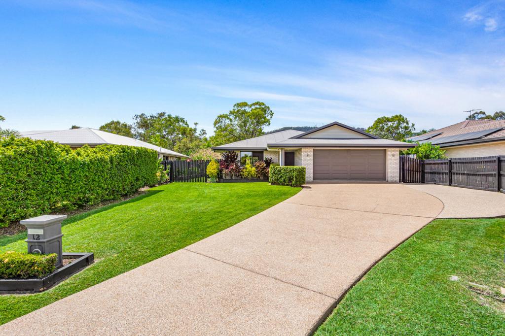 12 Red Penda Ct, Norman Gardens, QLD 4701