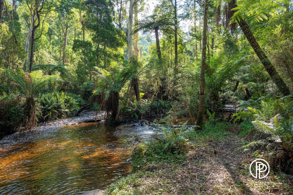 51 Fisherman Dr, Reefton, VIC 3799