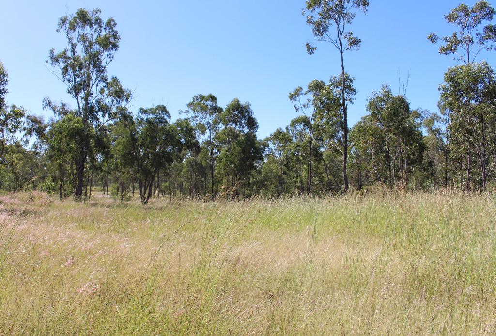 53821 Bruce Hwy, Machine Creek, QLD 4695