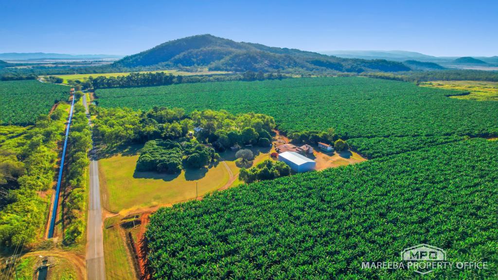 1597 Chewko Rd, Walkamin, QLD 4872