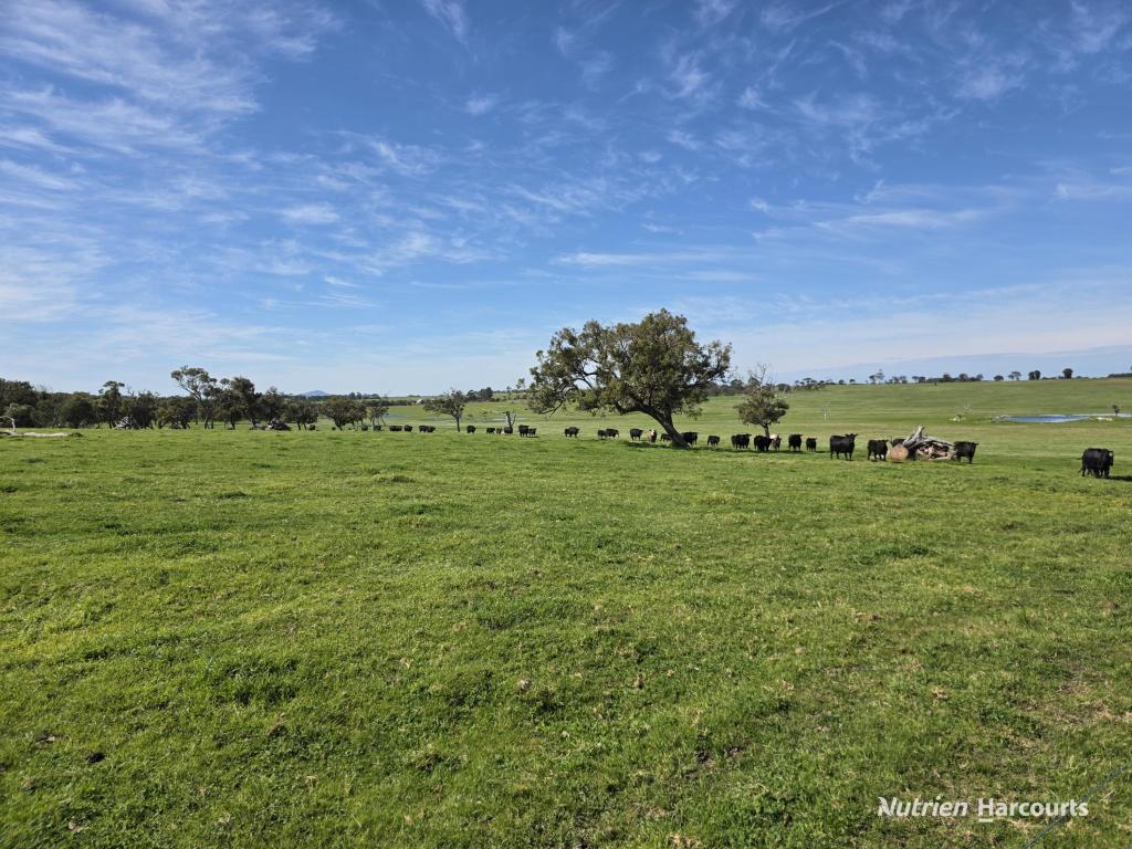 1867 Chester Pass Rd, Napier, WA 6330