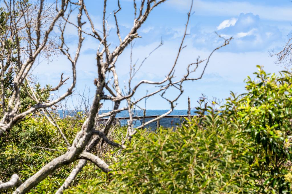 31 Green Turtle Pl, Marcoola, QLD 4564