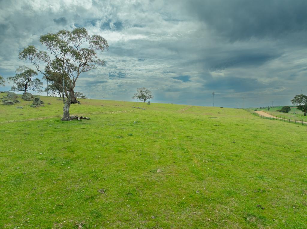  Cemetery Rd, Murrumburrah, NSW 2587