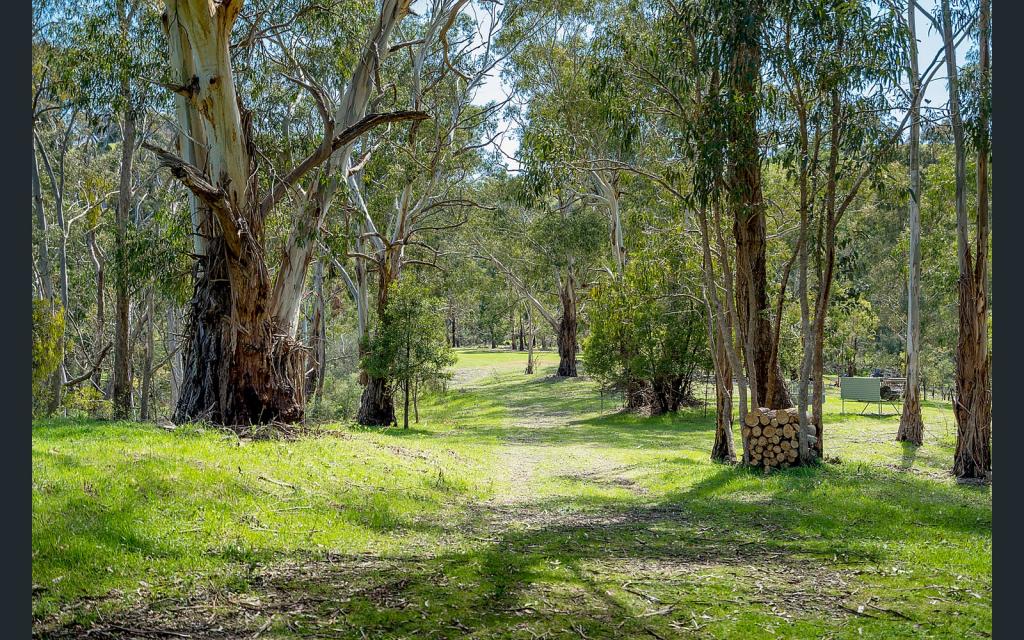 21 Doyle St, Reedy Creek, VIC 3658