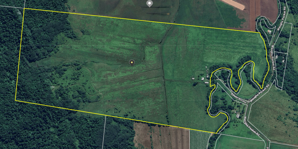 136 WAUGHS POCKET RD, WAUGH POCKET, QLD 4871