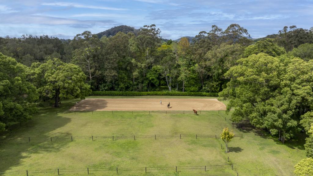 557 Tallebudgera Creek Rd, Tallebudgera Valley, QLD 4228