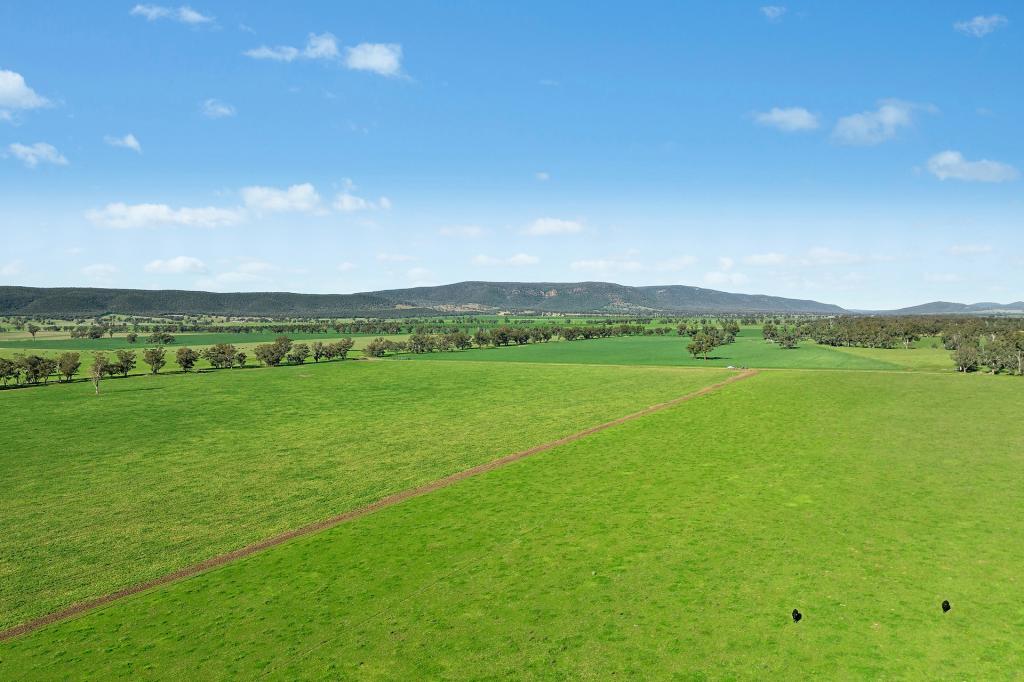 3130 Adelargo Rd, Grenfell, NSW 2810
