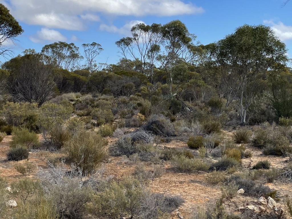 LOT 714 AND 715 PYGERY-PORT KENNY RD, MOUNT COOPER, SA 5671