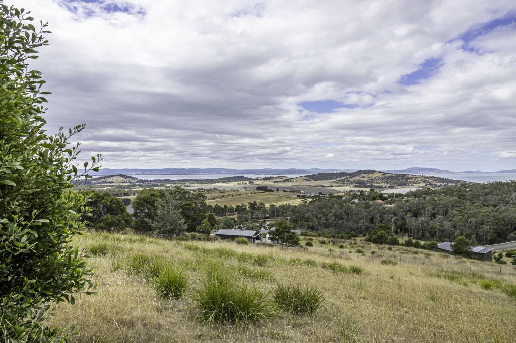 10 OCEAN VIEW CT, SANDFORD, TAS 7020