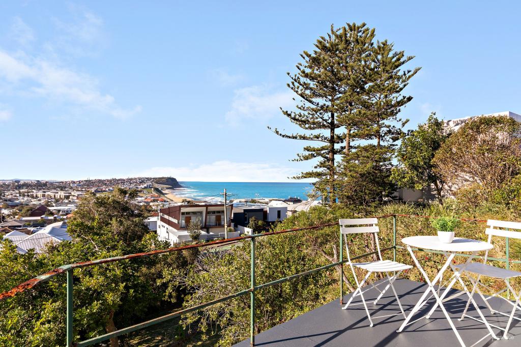 17 SCENIC DR, MEREWETHER, NSW 2291