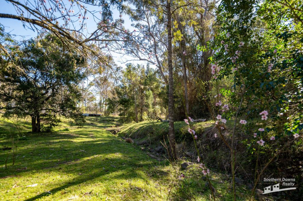167 Dollar Bill Dr, Swanfels, QLD 4371