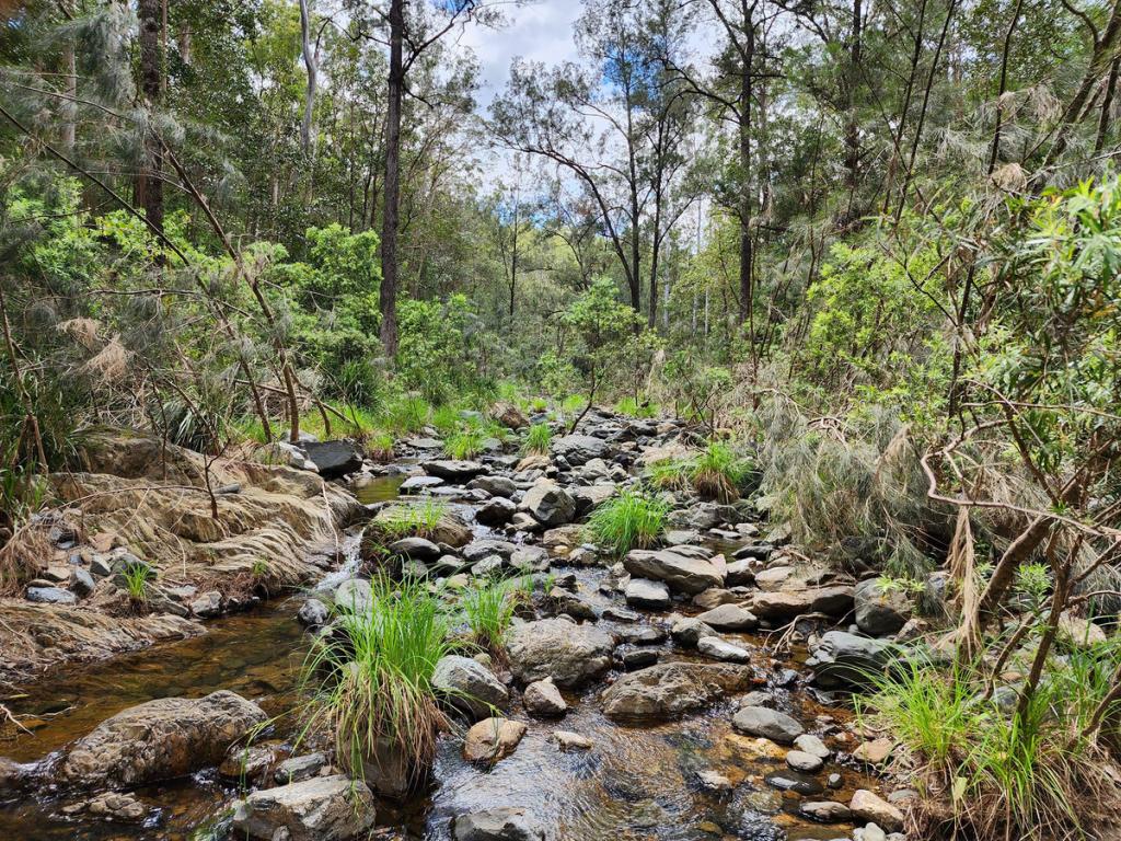 Lot 86 Banks Creek Rd, Banks Creek, QLD 4306