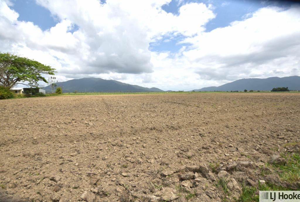 Lot 165 East Feluga Rd, East Feluga, QLD 4854