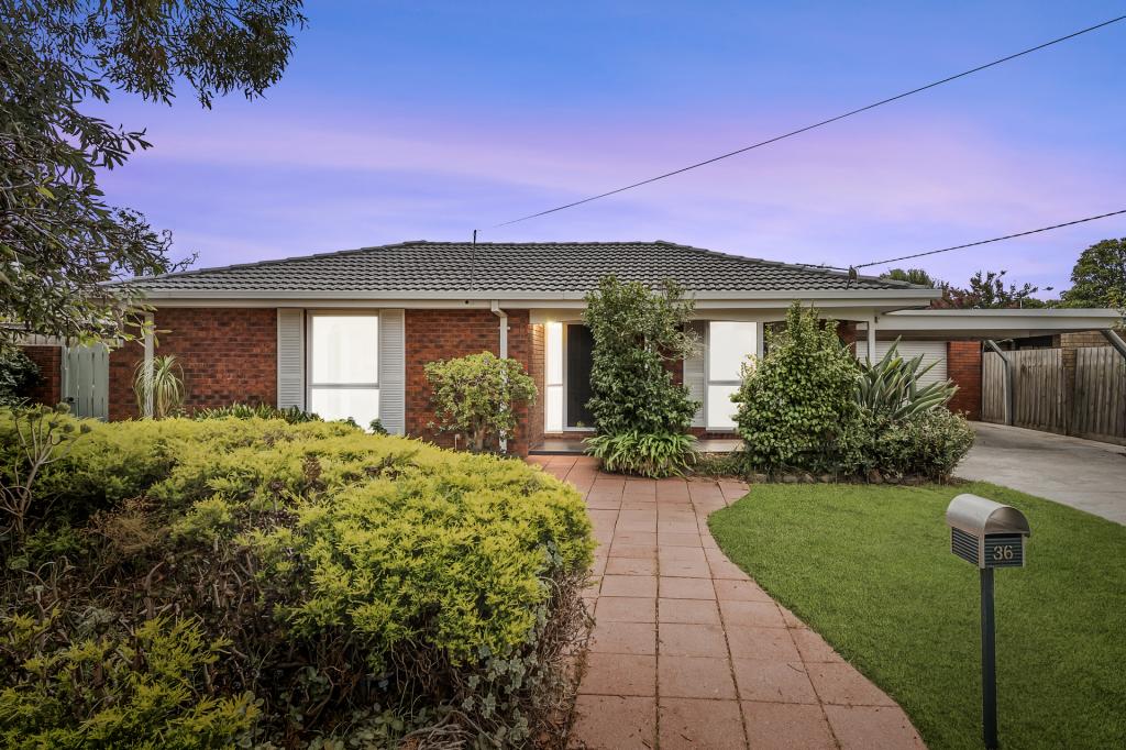 36 Hereford Dr, Belmont, VIC 3216