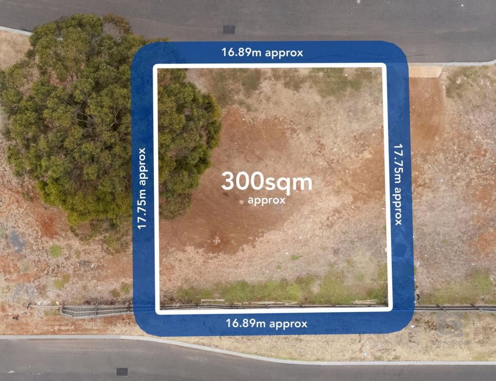 40 Ayesha Ave, Melton South, VIC 3338