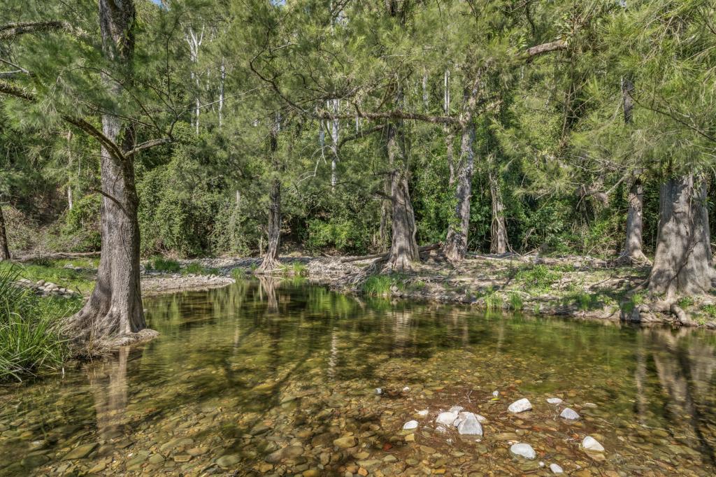 1561 Bowman River Rd, Bowman, NSW 2422