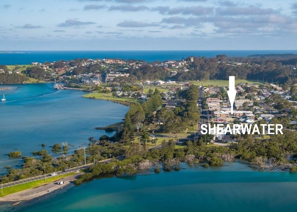9/2 Burrawang St, Narooma, NSW 2546