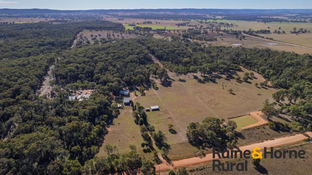 502 Patrick Rd, Dunedoo, NSW 2844